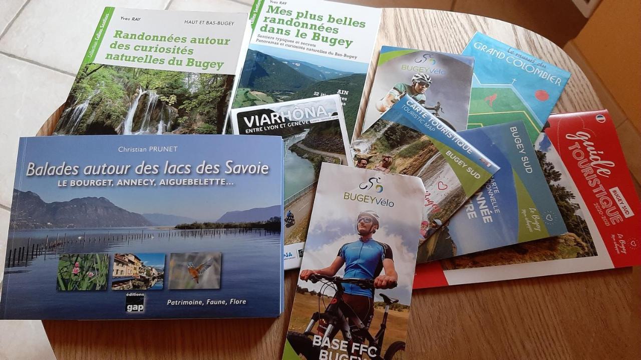 Petite Maison De Village Situee Entre Lacs, Cascades Et Montagnes Virieu-le-Grand Eksteriør billede