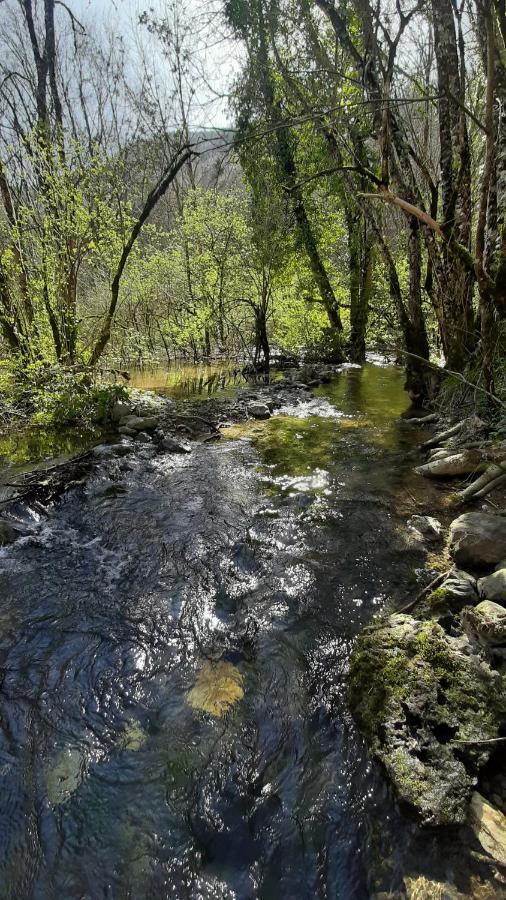 Petite Maison De Village Situee Entre Lacs, Cascades Et Montagnes Virieu-le-Grand Eksteriør billede